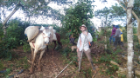 Gavin Amos with the day's coffee haul.
