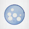 To study which animals make amylase in saliva, scientists punched tiny holes into a starchy gelatinous substance, and filled the holes with saliva from varied species. Saliva containing amylase will break down the surrounding starch, leading to the circular patterns seen here. Larger circles form when saliva contains more amylase. Credit: Douglas Levere / University at Buffalo