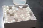 Vials of saliva collected from various mammals. Credit: Douglas Levere / University at Buffalo