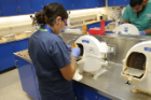 Jalisa Whitehorse trims a plaster model in the new pre-clinical lab in Squire Hall. Photo: Cass McAllister