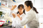 UB biological sciences faculty member Soo-Kyung Lee, left, and UB biological sciences researcher Younjung Park work in the lab. Lee is Empire Innovation Professor and Om P. Bahl Endowed Professor of Biological Sciences at UB. Credit: Douglas Levere / University at Buffalo