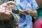 Family members prepare for the butterfly release.