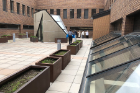 The atrium on the fifth floor of O'Brian Hall, which has served as the nesting spot for Ruth Bader Gooseburg for the past three years.
